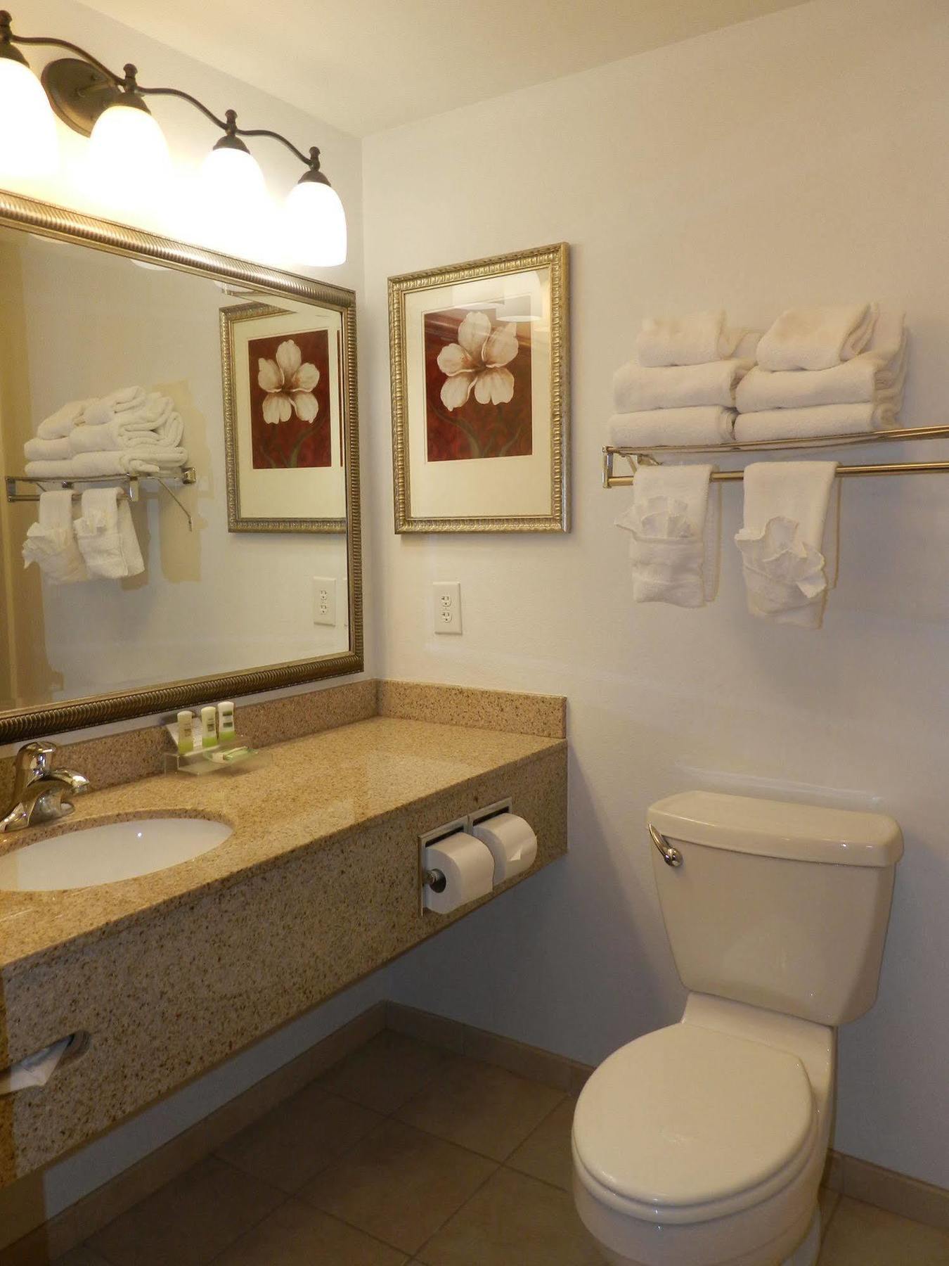 Country Inn & Suites By Radisson, Braselton, Ga Eksteriør billede
